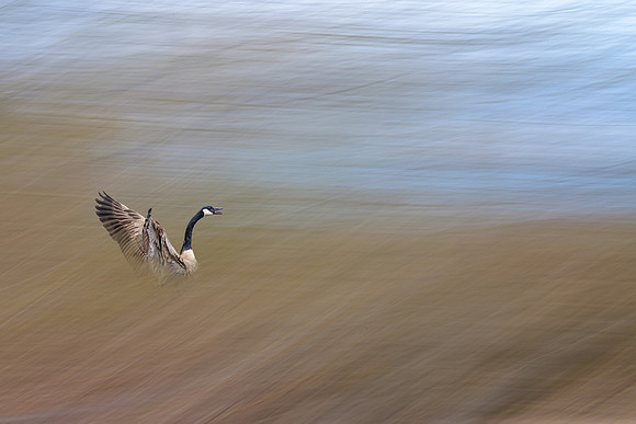 Up Up and Away
