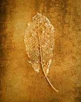Decay