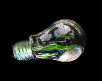 Bunny Bulb