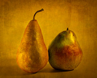 Fraternal Twins