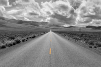 Road to Fields