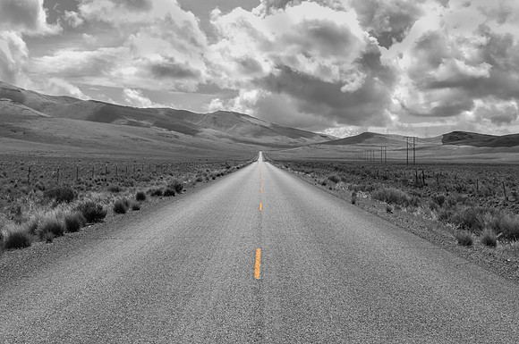 Road to Fields