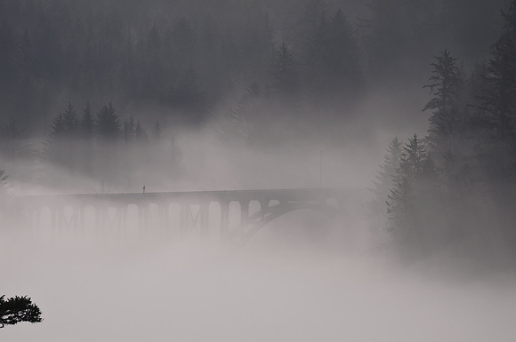 Cape Creek Bridge II