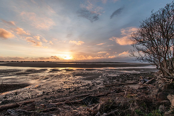 Siletz Bay