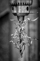 Shavings