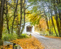 Wildcat Creek Bridge
